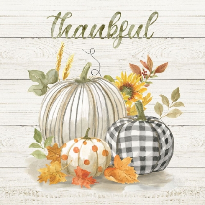 Picture of THANKFUL PUMPKINS