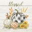 Picture of BLESSED PUMPKINS
