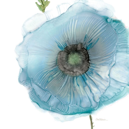 Picture of IRIDESCENT BLUE POPPY II