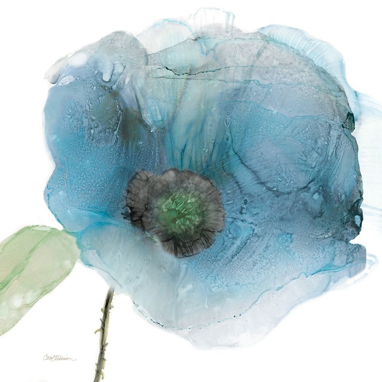 Picture of IRIDESCENT BLUE POPPY III