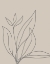 Picture of NEUTRAL LINES I