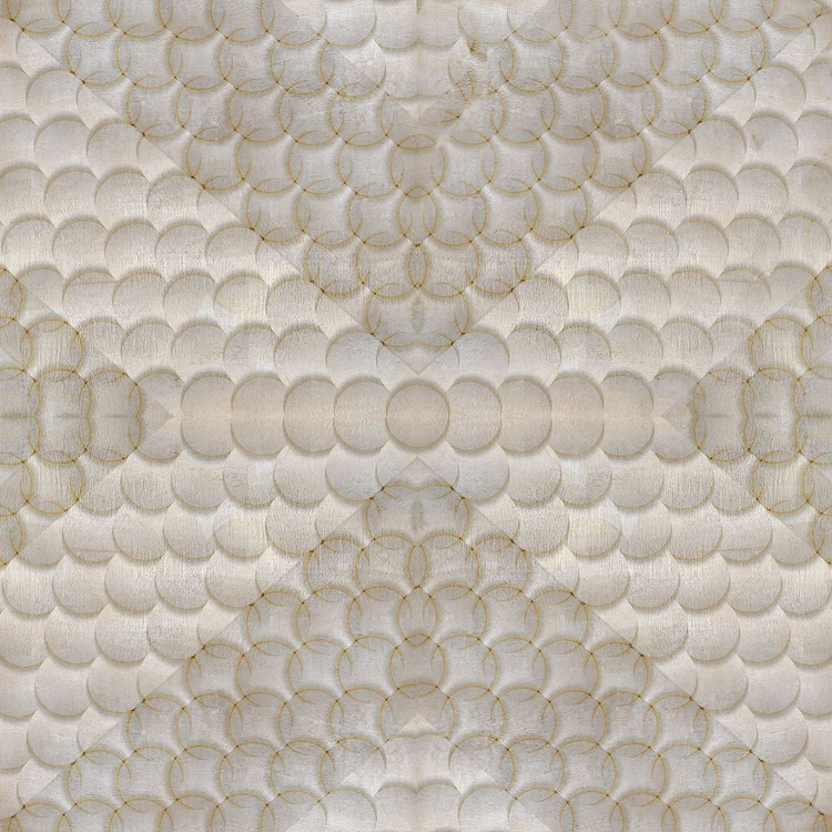 Picture of CIRCLES AND SHADOWS