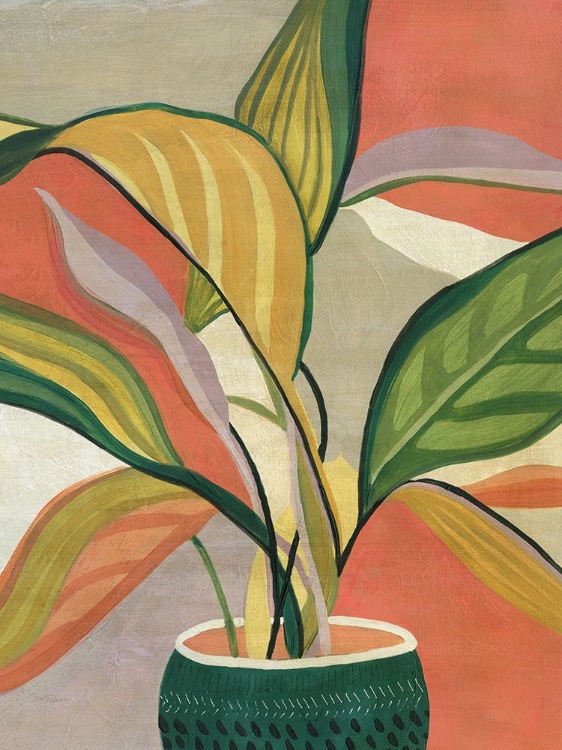 Picture of POTTED BIRD OF PARADISE