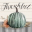 Picture of HARVEST THANKFUL