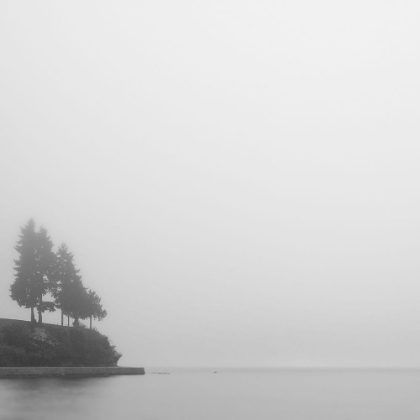 Picture of FOGGY COAST 1