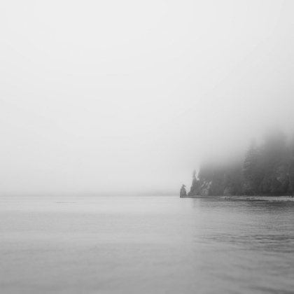 Picture of FOGGY COAST 2