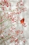 Picture of RED CARDINAL IN THE RED BERRIES