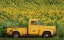 Picture of YELLOW VINTAGE SUNFLOWER TRUCK