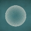 Picture of CIRCLES