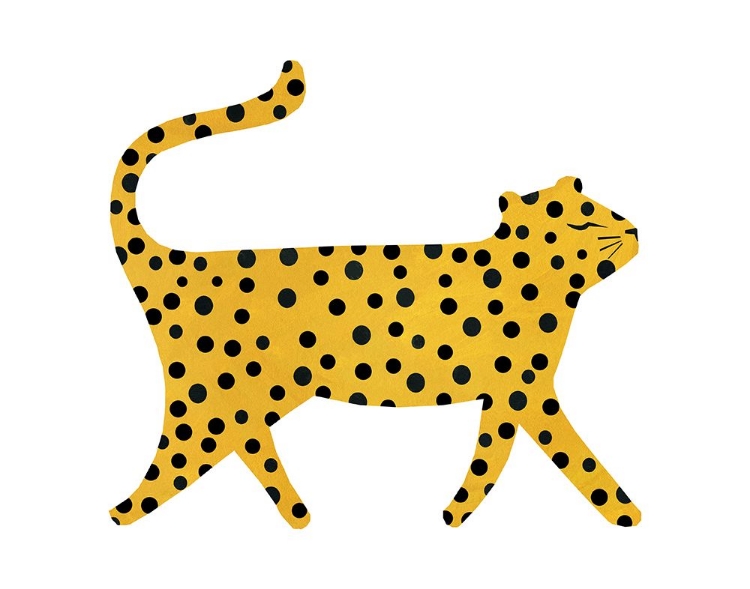 Picture of CHEETAH