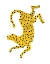 Picture of DOTTED CHEETAH