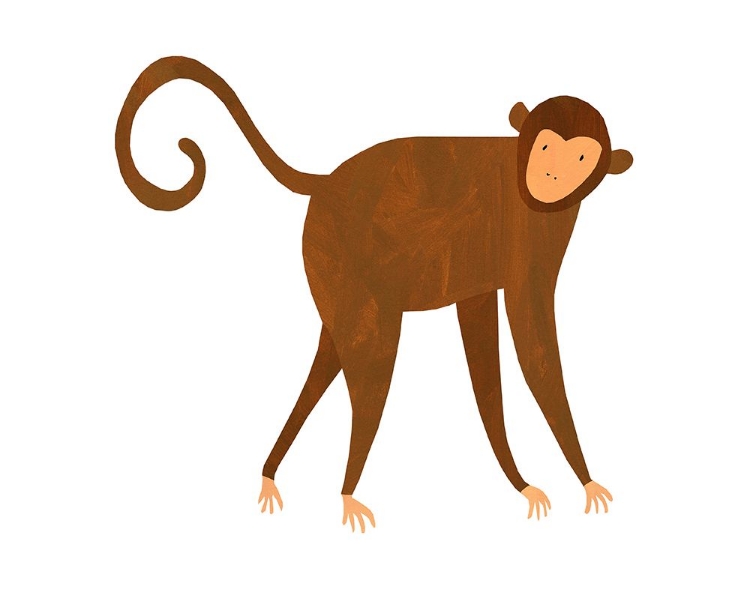 Picture of MONKEY