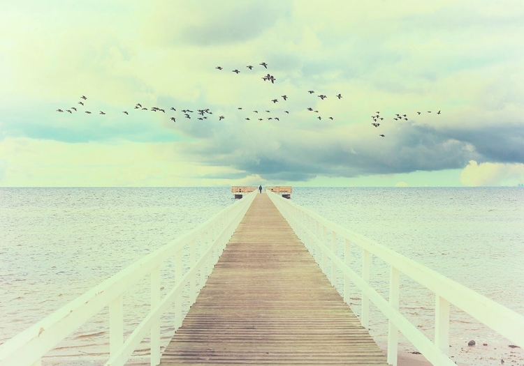 Picture of MAN AND THE SEA