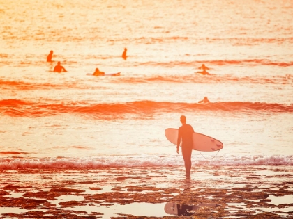 Picture of SURFER