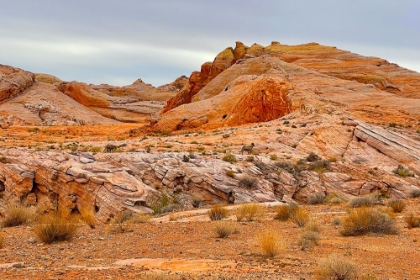 Picture of VALLEYOFFIRE:BIGHORNSHEEP2