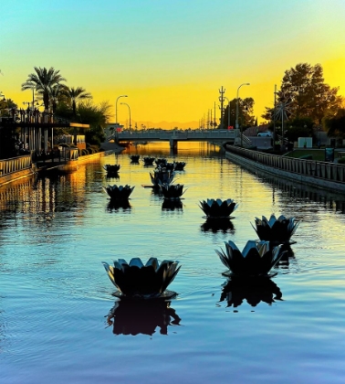 Picture of SCOTTSDALE:FLOATUSBLOSSOMS