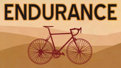 Picture of ENDURANCE BIKE
