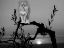 Picture of LION IN THE DARKNESS