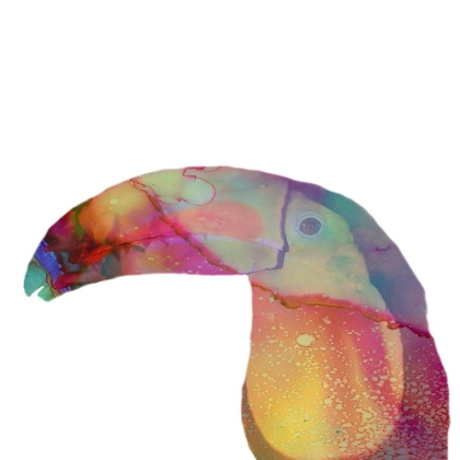 Picture of TOUCAN BOY