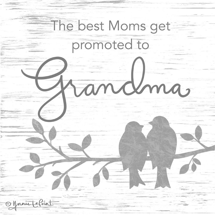 Picture of PROMOTED TO GRANDMA