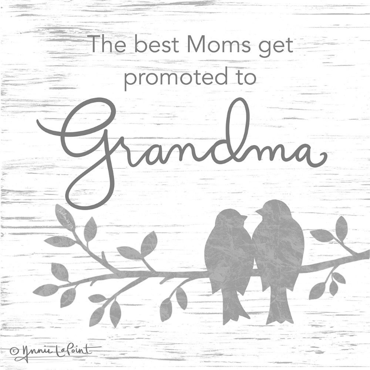 Picture of PROMOTED TO GRANDMA