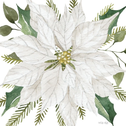 Picture of WHITE POINSETTIA