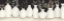 Picture of EBONY AND IVORY