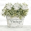 Picture of VINTAGE FLORAL