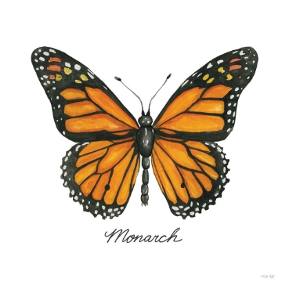 Picture of MONARCH