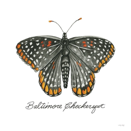 Picture of BALTIMORE CHECKERSPOT