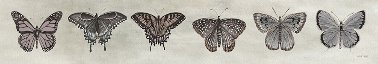 Picture of ROW OF BUTTERFLIES I