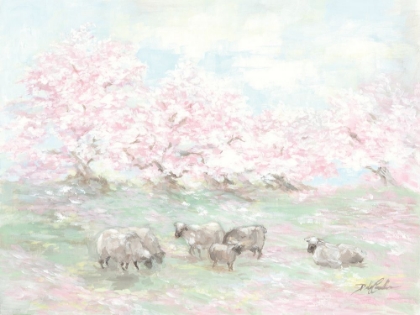 Picture of SHEEP IN SPRING