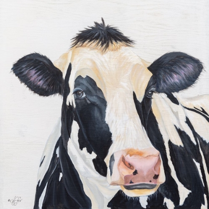 Picture of HOLSTEIN COW