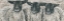 Picture of THREE SHEEP  