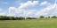 Picture of SUMMER FIELDS
