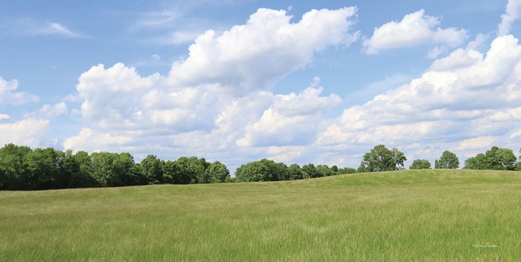 Picture of SUMMER FIELDS