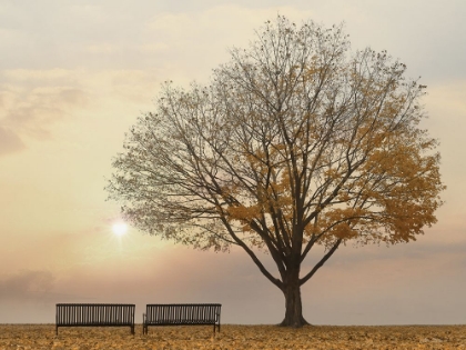 Picture of GOLDEN RIVERFRONT SUNRISE