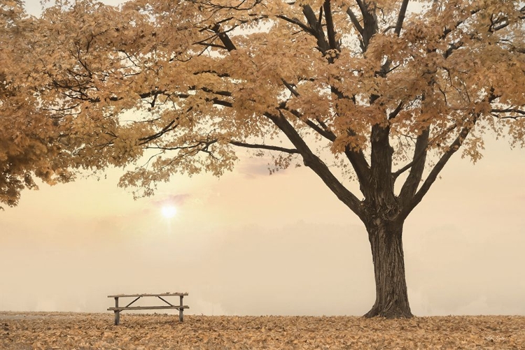 Picture of PERFECT PICNIC SPOT