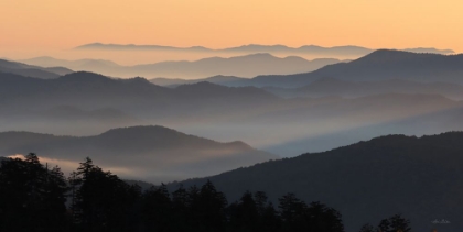 Picture of CLINGMANS AT DAYBREAK