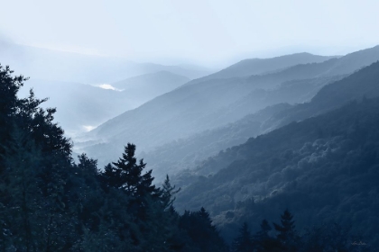 Picture of NEWFOUND GAP VIEW