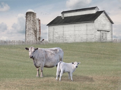 Picture of MOMMA AND BABY COW