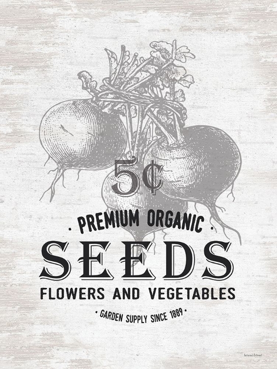 Picture of SEEDS