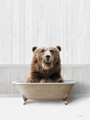 Picture of BATH TIME BEAR 