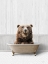 Picture of BATH TIME BEAR 