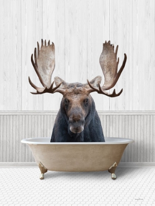 Picture of BATH TIME MOOSE 