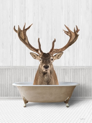 Picture of BATH TIME DEER