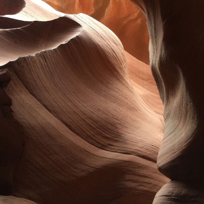 Picture of CORAL ANTELOPE CANYON I