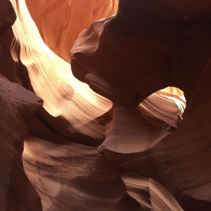 Picture of CORAL ANTELOPE CANYON II 