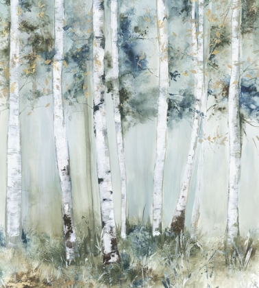Picture of BIRCH BLUE FOREST 