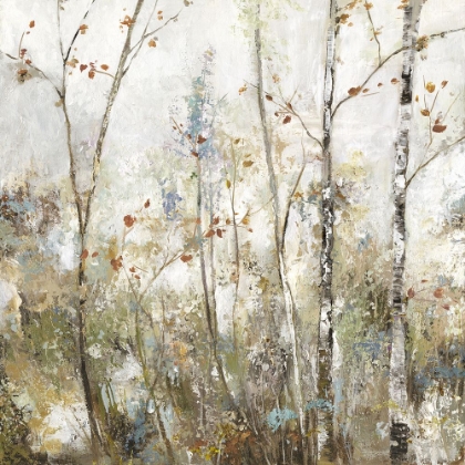Picture of SOFT BIRCH FOREST I 